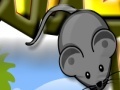 Oyunu Cheese Hunt