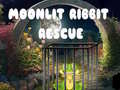 Oyunu Moonlit Ribbit Rescue