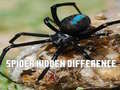Oyunu Spider Hidden Difference