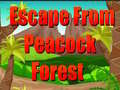 Oyunu Escape From Peacock Forest