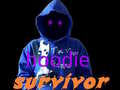 Oyunu Hoodie Survivor