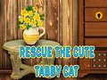 Oyunu Rescue The Cute Tabby Cat