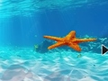 Oyunu Escape From Underwater Starfish