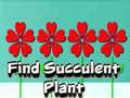 Oyunu Find Succulent Plant
