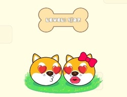 Aşk Doge 