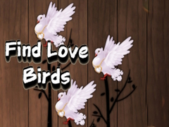 Oyunu Find Love Birds