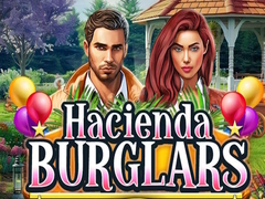 Oyunu Hacienda Burglars