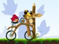 Oyunu Angry Birds Bike Revenge