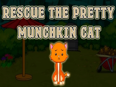 Oyunu Rescue The Pretty Munchkin Cat