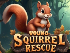 Oyunu Young Squirrel Rescue