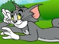 Oyunu Tom and Jerry ATV Adventure
