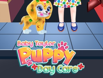 Bebek Taylor Köpek Bakımı .