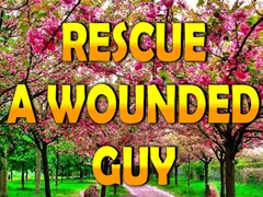 Oyunu Rescue A Wounded Guy