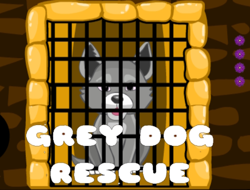 Gri Köpek Kurtarma .
