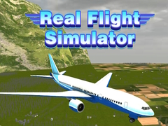 Oyunu Real Flight Simulator 