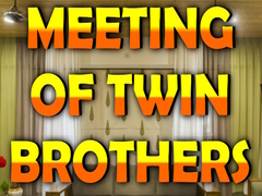 Oyunu Wow Meeting of Twin Brothers