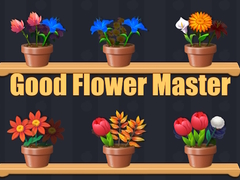 Oyunu Good Flower Master