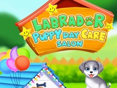 Oyunu Labrador Puppy Daycare Salon