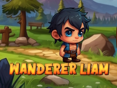 Oyunu Wanderer Liam