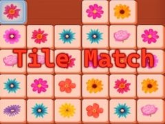 Oyunu Tile Match