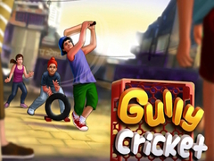 Oyunu Gully Cricket