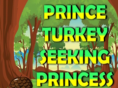 Oyunu Prince Turkey Seeking Princess