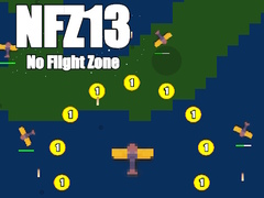 Oyunu No Flight Zone 13