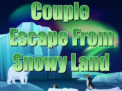 Oyunu Couple Escape from Snowy Land