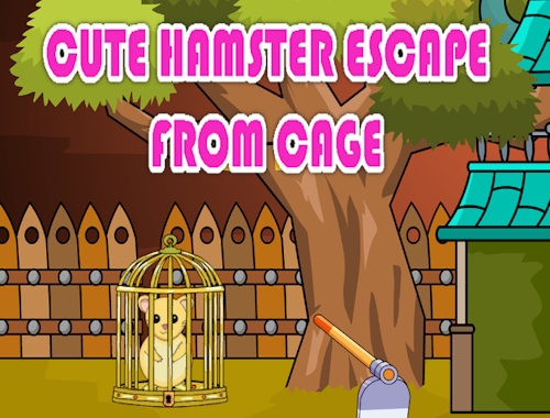 Sevimli Hamster Kafesinden Kaçış 