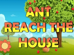 Oyunu Ant Reach the House