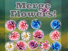 Oyunu Merge Flowers!