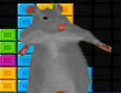 Ratomilton düşen bloklar .