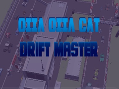 Oyunu Oiia Oiia Cat Drift Master