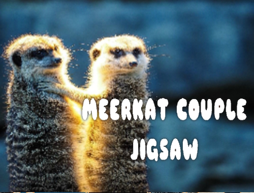 Meerkat Çift Jigsaw 