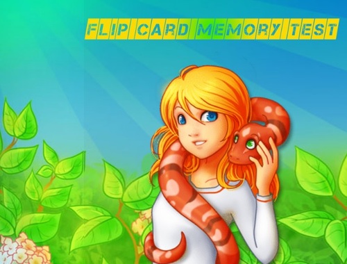 Flip Kartı Bellek Testi .