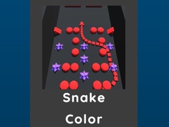 Oyunu Snake Color