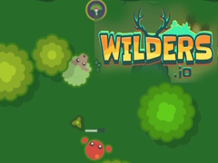 Oyunu Wilders.io