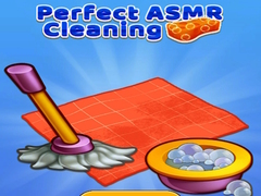 Oyunu Perfect Asmr Cleaning