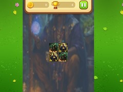 Oyunu Magic Druid Memory Match