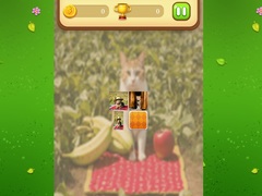 Oyunu Farm Cat Memory Match