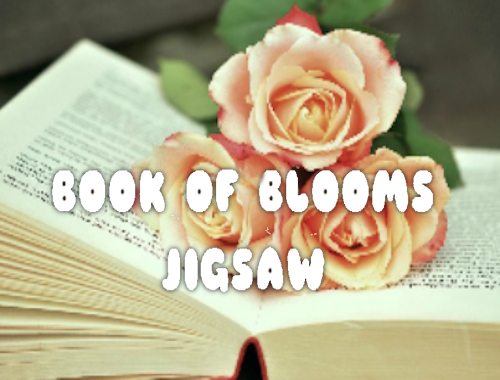 Blooms Jigsaw Kitabı 