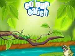 Oyunu Colour Catch