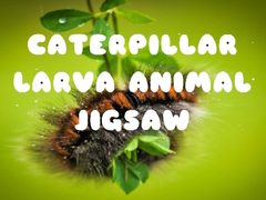 Oyunu Caterpillar Larva Animal Jigsaw