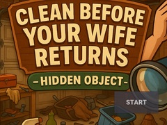 Oyunu Clean Before Your Wife Returns Hidden Object