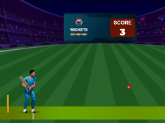 Oyunu Cricket Night 2