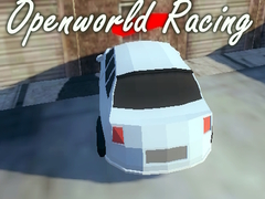 Oyunu Openworld Racing