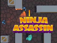 Oyunu Ninja Assassin