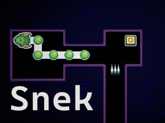 Oyunu Snek