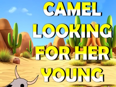 Oyunu Camel Looking For Her Young