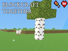 Oyunu BlockCraft Together